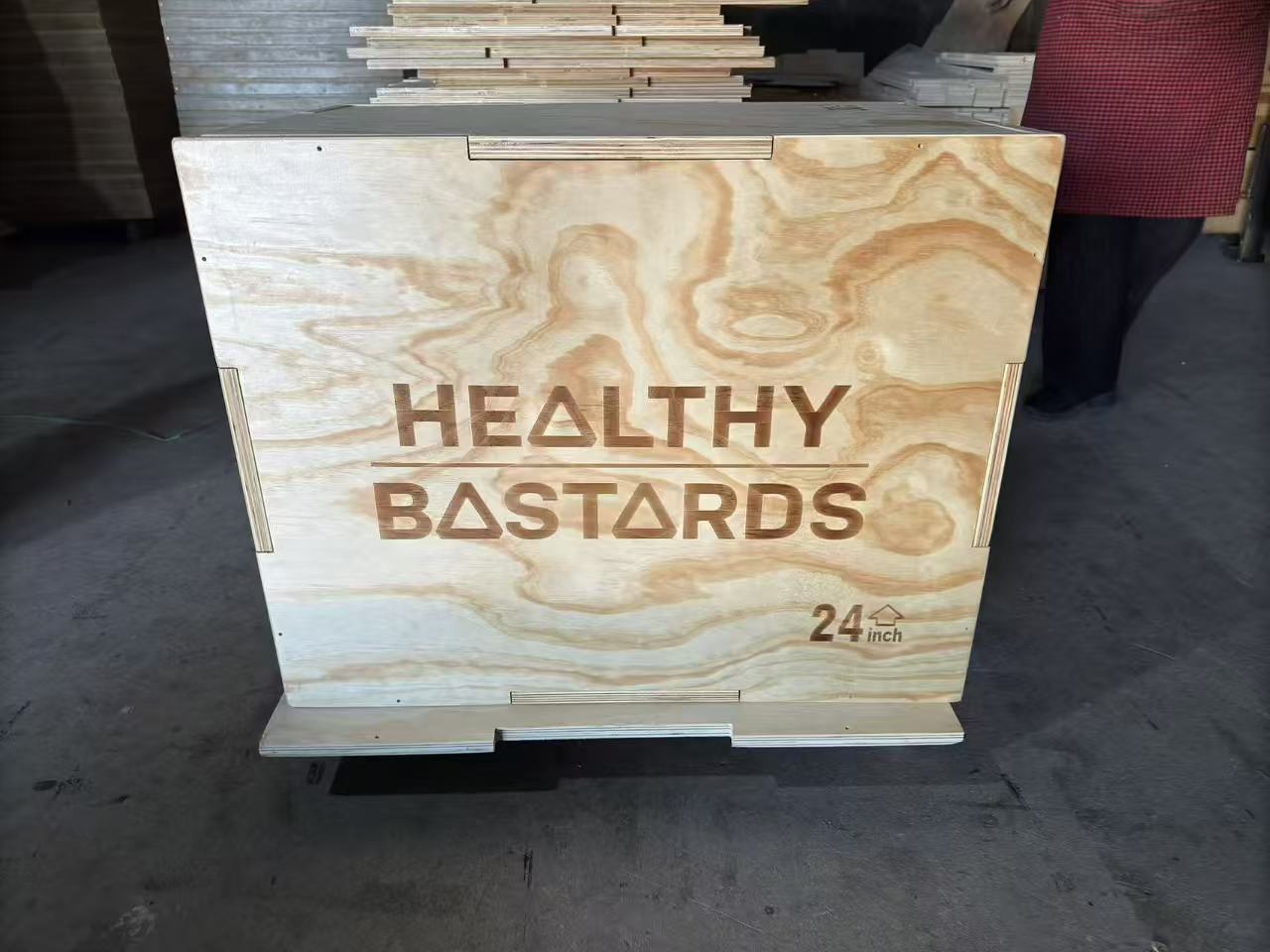 Healthy Bastards — Plyo box · 24"